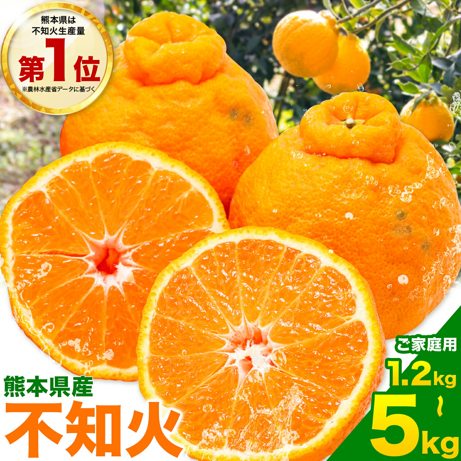 【ふるさと納税】＼リリース記念受付中！／【先行予約】不知火 ご家庭用 訳あり 熊本 県産約1.2kg or 3.5kg or 約5kg 柑橘 《2027年2月上旬-3月末頃出荷》 みかん 楽天スーパーSALE フルーツ 不知火 5000円以下 5千円以下訳アリ 果物 5kg 今シーズン 1.2キロ 3.5キロ 5キロ