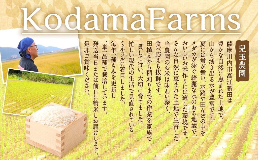 【KODAMAFARMS】にじのきらめき5kg×3回（計15kg）KODA米 