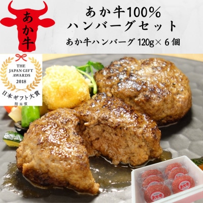 あか牛100%ハンバーグセット(あか牛ハンバーグ120g×6個)(南阿蘇村)【配送不可地域：離島】【1542634】