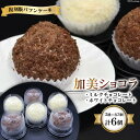 【ふるさと納税】復刻版バフンケーキ　加美町名産　『加美ショコラ』　2種×各3個　(計6個入り) [やくらい土産センター 宮城県 加美町 44581293]