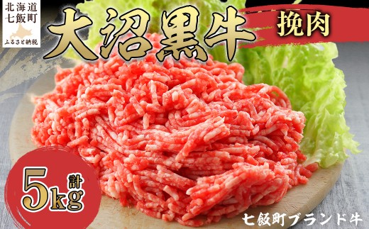 【北海道ブランド牛】大沼黒牛挽肉　5kg 【ふるさと納税 人気 おすすめ ランキング 北海道ブランド牛 大沼黒牛 黒毛和牛 冷凍 挽肉 ハンバーグ おいしい 北海道 七飯町】 NAM012
