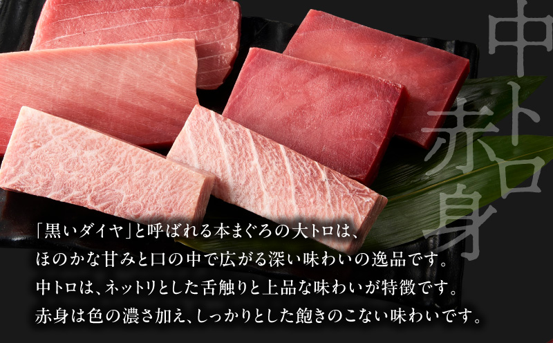 【高島屋バイヤーセレクション】天然本まぐろ詰合せ＜竹＞　M038-006