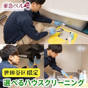 掃除のプロによるハウスクリーニングサービス 選べる1箇所 キッチン レンジフード 浴室 清掃 水回り 家事代行_0083-002-se7