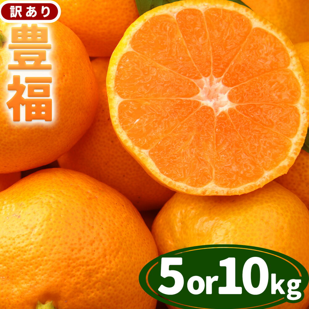 【ふるさと納税】果物 フルーツ みかん 訳あり極早生みかん 豊福 選べる内容量 約5kg 約10kg 都呂々みかん生産者グループ《10月中旬-11月下旬頃出荷》 ミカン 蜜柑 柑橘 生産者直送 産地直送 天草 苓北 送料無料 熊本県