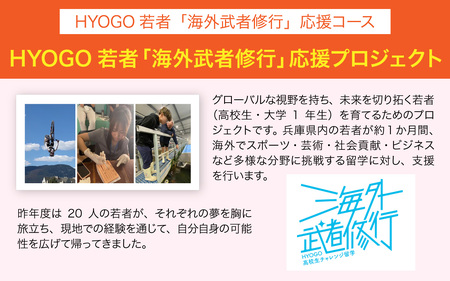 【返礼品なし】兵庫県を応援！ふるさとひょうご寄附金 （1口：1,000円）/ 返礼品なし