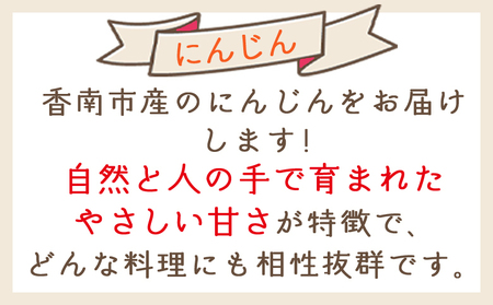 【2026年11月以降発送】にんじん ７ｋｇ 家庭用 yr-0139