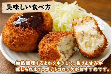 【10月より順次発送予定】北海道 じゃがいも キタアカリ 10kg 北海道産 十勝産 きたあかり 北あかり ジャガイモ 芋 いも ポテト お取り寄せ まとめ買い 送料無料 十勝 士幌町【V04】