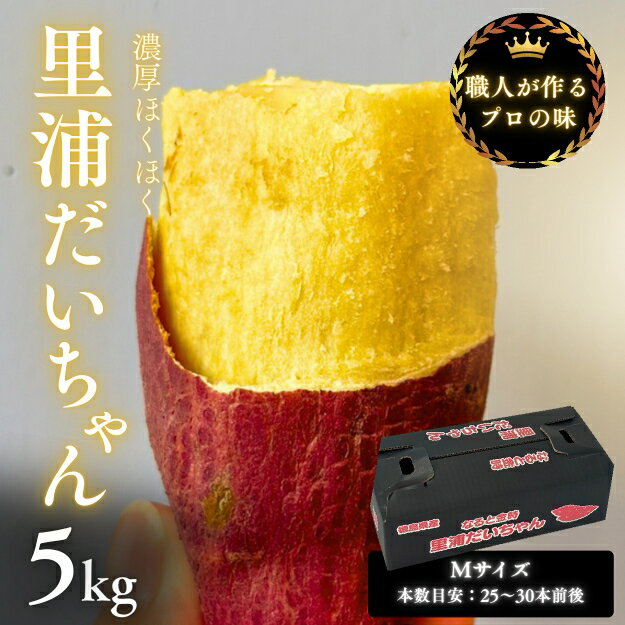【ふるさと納税】【予約受付中・2025年10月下旬頃より順次発送】鳴門産 さつまいも 里浦だいちゃん 5kg | なると金時 甘い ホクホク スイーツ 焼き芋 干し芋 天ぷら サラダ けんぴ きんつば