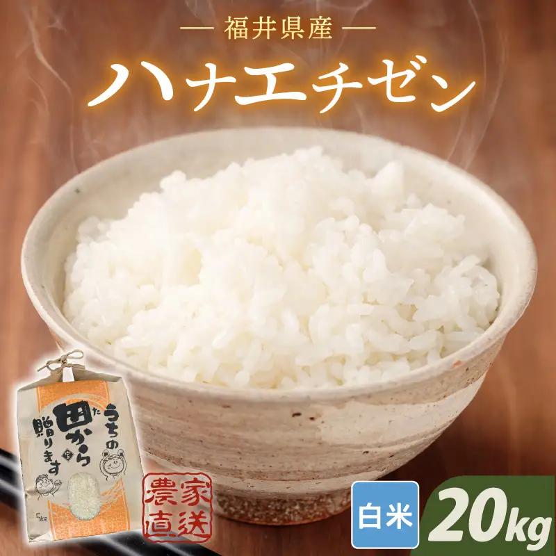 【令和8年産・新米】 ハナエチゼン20kg(5kg×4袋) ～本原農園からまごころコメて～（白米）[C-8970_01]