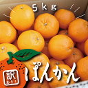 【ふるさと納税】 訳あり ぽんかん 5kg 2025年度分 サイズ混合 柑橘 みかん 蜜柑 家庭用 高知県 須崎市 ( ふるさと納税 ランキング キャンペーン やり方 限度額 仕組み シミュレーション )