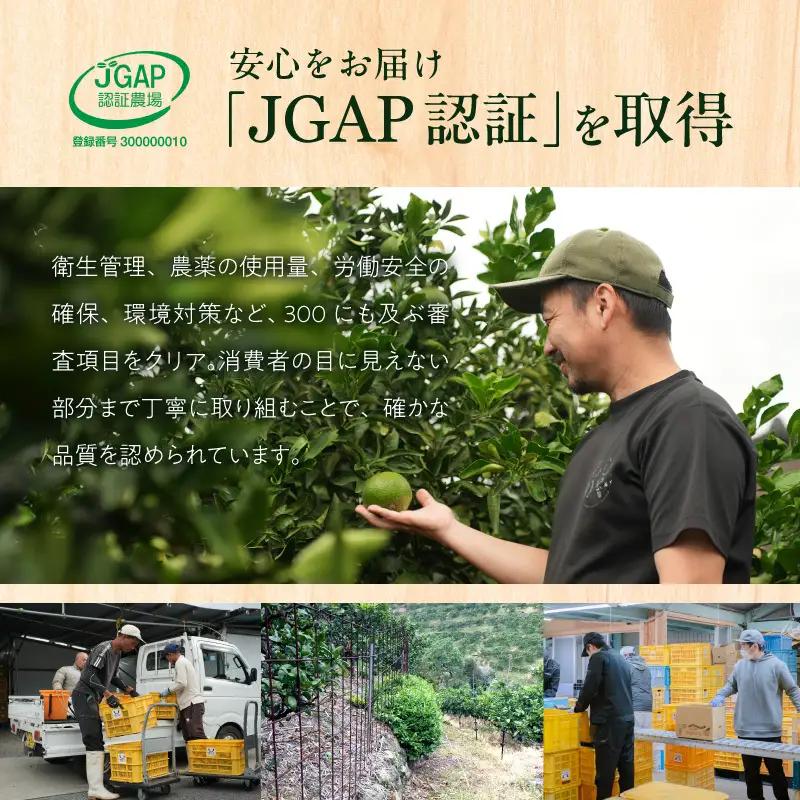 【2026年先行予約】【秀品】和歌山県産　有田みかん 約7kg 秀品（S～Ｌサイズ混合）【まごころ手選別】_ZE6515