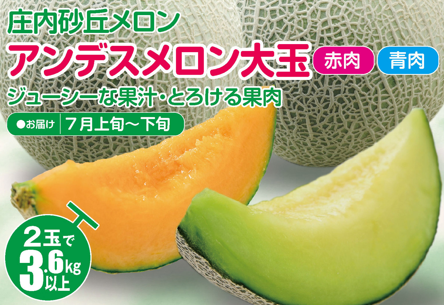 
                  庄内砂丘メロン アンデスメロン(青肉・赤肉) 大玉2玉　計3.6kg以上　つる付き SA2964
                