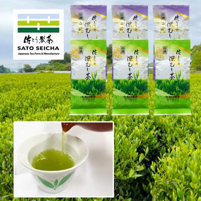 ふるさと納税 山鹿市 特せん茶 6点セット