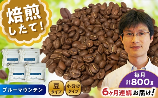 【全6回定期便】ブルーマウンテンNo.1 コーヒー豆 200g×4個 (豆) / 珈琲 コーヒー 豆 / 瀬戸市 / Ｃｏｆｆｅｅ　ＳＡＫＵＲＡ [BBAB084]