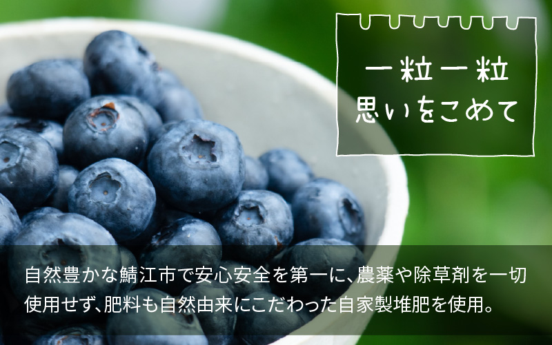【先行予約】【7月中旬以降順次発送】【訳あり】令和8年産〈冷凍〉手摘み有機ブルーベリー1kg（500g × 2パック） 1kg（500g × 2パック）