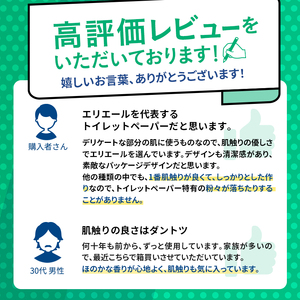 【3ヶ月連続お届け】エリエール [アソートB] トイレットペーパー ティッシュ トイレ ボックスティッシュ 日用品 消耗品