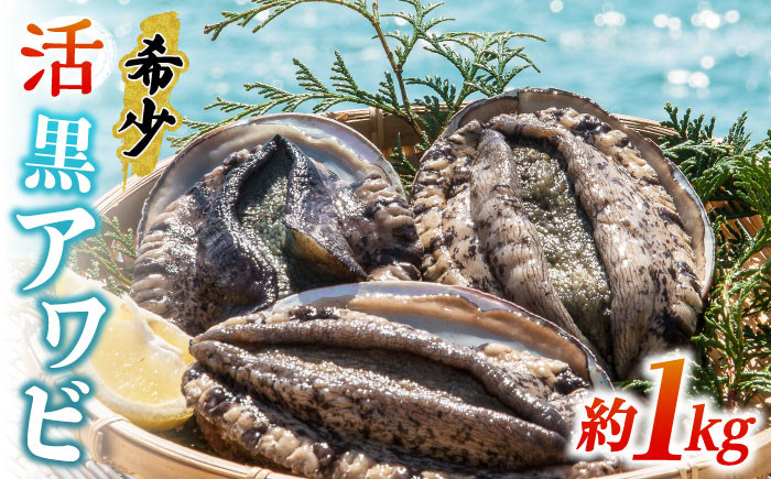 
            活アワビ 約1kg（黒アワビ）《壱岐市》【丸和水産】[JCJ006] 鮑 アワビ あわび 黒鮑 黒アワビ 黒あわび 貝 魚貝 海鮮 刺身 刺し身 お刺身 BBQ 51000 51000円 
          