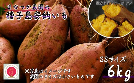 【  新物 ・ 先行予約中 】 まなつか農園の 種子島 安納いも  (生いも) SSサイズ 6kg　NFN550 【300pt】