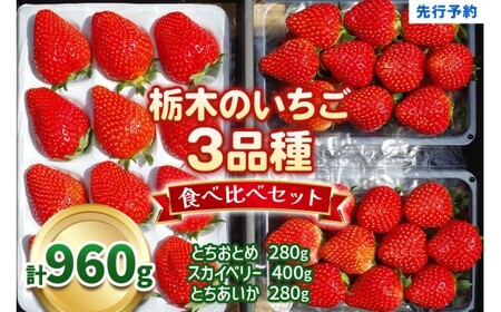 【12月中旬～4月発送】いちごの贅沢！3品種食べ比べセット | 計960g | いちご
