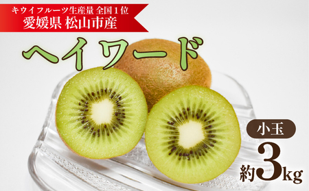 キウイフルーツ ヘイワード 【小玉】 約3kg 【2026年11月上旬頃から順次発送】 |  キウイ グリーンキウイ ヘイワード キウイフルーツ フルーツ 果物 きうい くだもの デザート 産地直送 数量限定 国産 送料無料 愛媛県 松山市【KNN014】