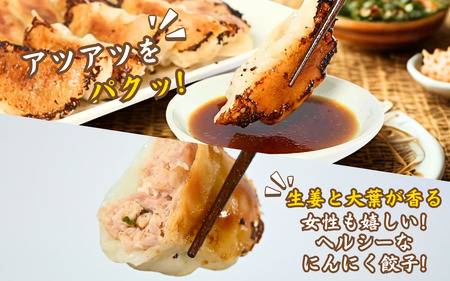 焼鳥屋さんの鶏つくね餃子　10個入り　4パック　［A-084003］