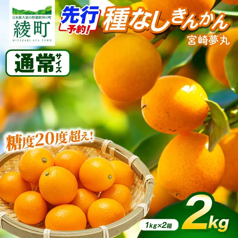 【先行予約】種なし きんかん「宮崎夢丸」 2kg 数量限定 種無し 果物 フルーツ くだもの 柑橘 金柑 プレミア おすすめ ギフト 贈り物 贈答 おやつ スイーツ デザート 糖度が高い 常温 産地直送 宮崎県 綾町 送料無料【JA綾町】_A0114-2531