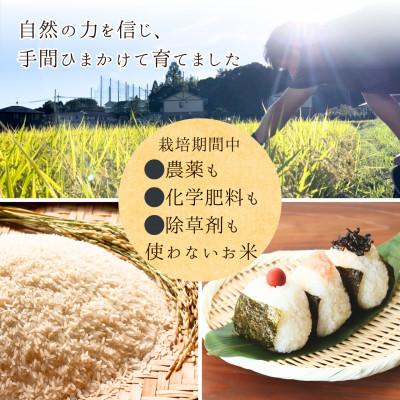 ふるさと納税 津山市 2025年新米【コシヒカリ 玄米5kg】|-comeback未来ce- |  | 02