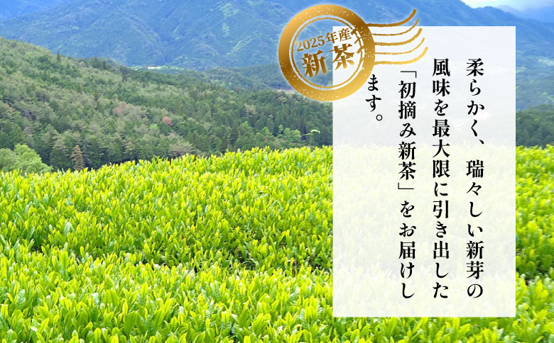 【2025年産新茶・先行受付】新茶 美濃白川茶 50g×5袋 初摘み 東白川村産 岐阜県産 お茶 日本茶 ホット アイス おためし 送料無料 クリックポスト 50g×5袋