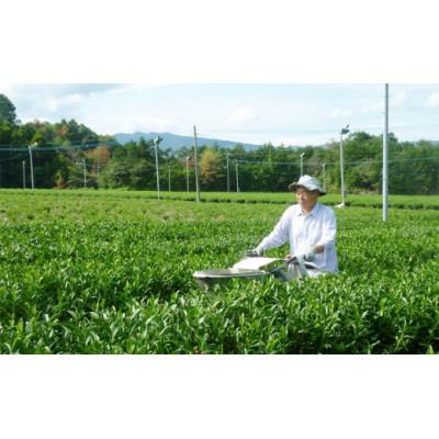 ふるさと納税 八女市 食べて栄養価の高い野菜になる美味しい高級八女煎茶 |  | 03