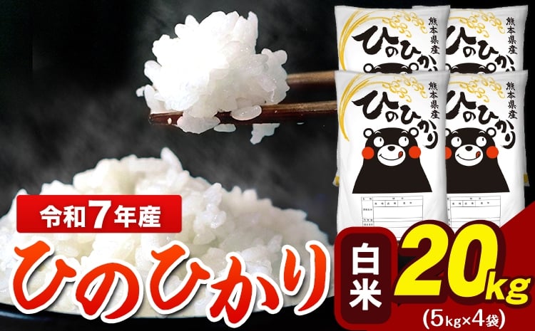 
                  令和7年産  ひのひかり 白米 20kg   5kg×4袋 熊本県産（荒尾市産含む） 米 精米 ひの
                