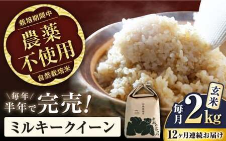 【令和7年産新米】【全12回】自然栽培米ミルキークイーン　2kg玄米×12回[AQCP015] 玄米