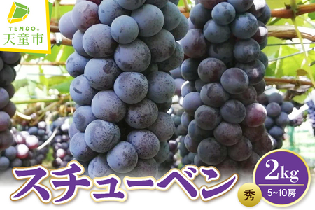 ぶどう スチューベン 2kg フルーツ 果物 山形 天童 ブドウ
