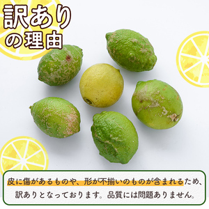 ＜先行予約受付中！2025年9月以降発送予定＞数量限定！有機JAS 訳ありオーガニックレモン(約5kg) 国産 訳あり レモン 檸檬 果実 果物 フルーツ 柑橘 デザート 期間限定 有機栽培 健康志向