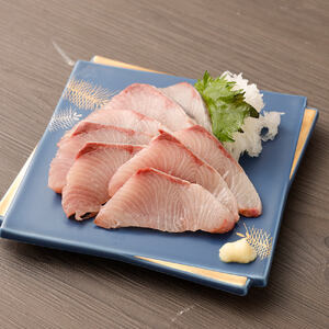 土佐清水産天然ぶり　まるごと１本（5kg～8kg）下処理あり（内臓除去済）【令和6年3月下旬以降発送※着日指定不可※】先行予約 鮮魚 ぶり大根 刺身 ぶりしゃぶ【R00874】