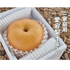 岡山県産 ご家庭用愛宕梨 ご家庭用 1玉/1kg～