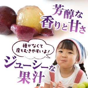 〈2025年度配送分〉ピオーネ2房（約1.0kg） ピオーネ 大粒 山梨 県産 先行予約 2025年 ぶどう フルーツ 2房 冷蔵 生産量 日本一 甲府 市産 1.0kg以上 フルーツ王国山梨 202