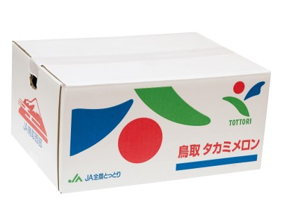 AS-01　貴味（タカミ）メロン　３玉
