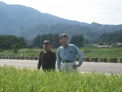 【令和5年産米】新潟県加茂市 七谷産コシヒカリ 精米10kg（5kg×2） 白米 高柳地域産数量限定 昇徳会 コシヒカリ 新潟県産コシヒカリ 米 お米