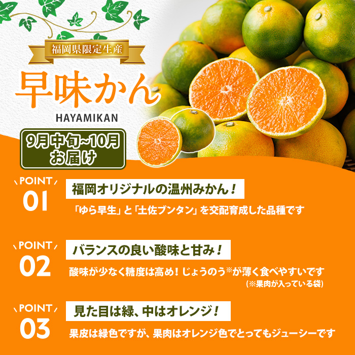 ＜定期便・年4回＞旬の福岡 フルーツ定期便(あまおう1kg/とよみつひめ1.2kg/早味かん3kg/甘うぃ3.6kg) いちご 苺 あまおう いちじく イチジク 無花果 みかん ミカン 蜜柑 キウイ 