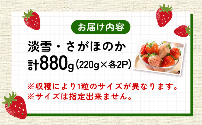 【先行予約】淡雪・さがほのか 紅白いちごセット 220g×4パック / フルーツ / 佐賀県 / 岸川農園 [41ASAG011]