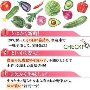 【6回定期便】＜アスカ有機農園＞旬の京野菜セットL（平飼い卵付）定期便＊毎月お届け全6回定期便≪野菜定期便 ふるさと納税野菜定期便 野菜詰め合わせ 野菜セット 野菜定期便 厳選野菜 旬野菜定期便 京都