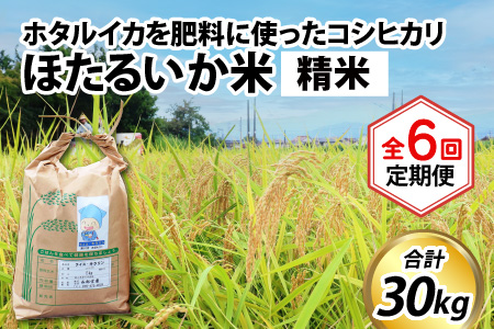 ほたるいか米　コシヒカリ 精米５kg ×6回 計30kg 6ヶ月定期便 米定期便 [E-021007]