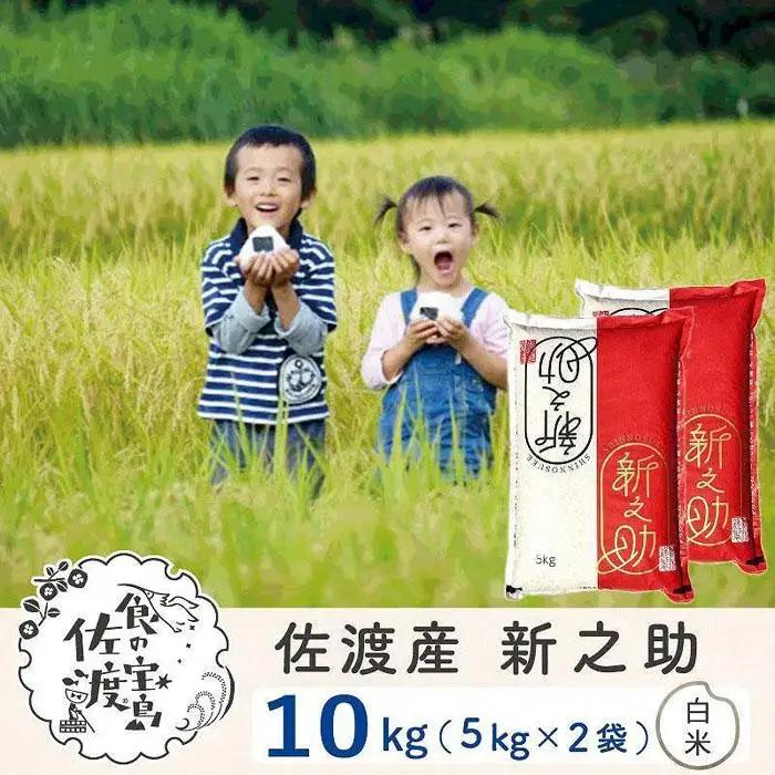 精米 10kg 5キロ 2袋 令和7年産| 新之助 新潟県 佐渡市