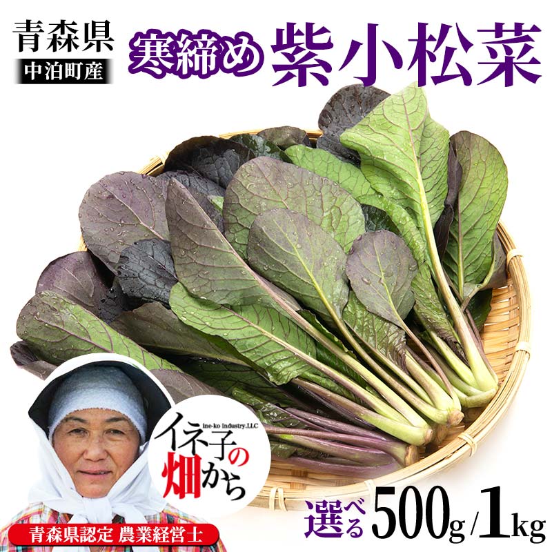 【ふるさと納税】【選べる容量】寒締め紫小松菜 約500g 約1kg【イネ子の畑から】 新鮮 産地直送 サラダ おひたし おみそしる 旬 野菜 やさい こまつな F6N-284var