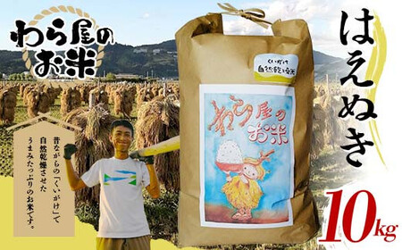 【わら屋のお米】 令和7年産 特別栽培米 はえぬき 10kg 『おがわ藁農園』 米 白米 精米 ご飯 農家直送 山形県 南陽市 [2068]