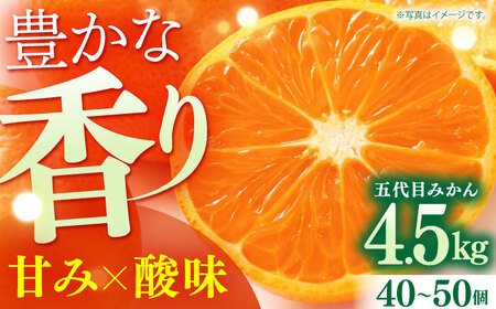 五代目みかん約4.5kg（40-50個） / みかん ミカン フルーツ 果物 蜜柑 / 佐賀県 / 石橋果樹園 [41AAAJ003]