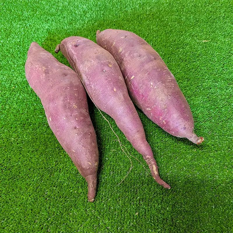 【先行予約】＼豪華4種！食べ比べ／ さつまいも 8kg セット（各2kg）（2026年10月以降順次発送）北海道産 品種おまかせ 紅はるか シルクスイート すずほっくり クイックスイート 安納芋 ゆき
