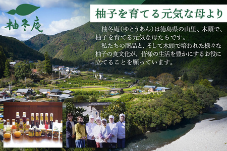 木頭柚子酢みそ パック 130g×3個【徳島県 那賀町 木頭 木頭柚子 木頭ゆず ゆず 柚子 ユズ 酢味噌 酢みそ すみそ ミソ ご飯 おにぎり ごはんのおとも お酒のお供 ご飯のおかず お酒のあて 