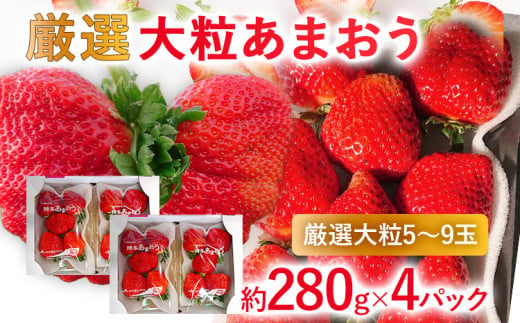 【2025年発送先行予約】厳選大粒あまおう(約280g x 4パック) お取り寄せグルメ お取り寄せ 福岡 お土産 九州 福岡土産 取り寄せ グルメ 福岡県