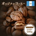 【ふるさと納税】ONUKI COFFEE オリジナルコーヒー グアテマラ 中深煎り 500g 自家焙煎 コーヒー 珈琲 珈琲豆 コーヒー豆 coffee ギフト プレゼント ふるさと納税 北海道 中標津町 中標津 【xxxxx】【27008】